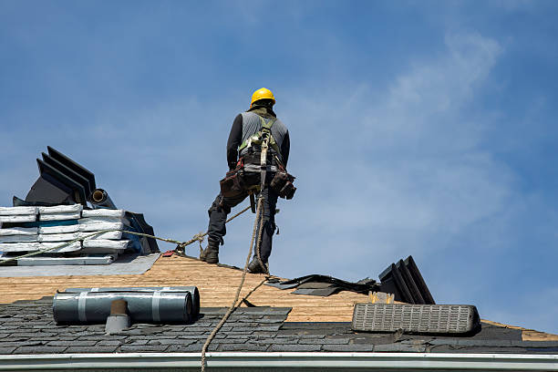 Professional Roof Replacement technician working in Prescott, WI